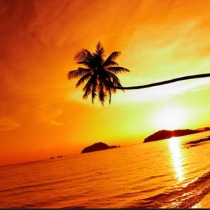 Meet your Posher, Mia